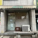 시흥대로30길 | [위드어나드] 시흥동 골목길 반려동물 동반 가능한 디저트 카페🐶