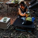 도그플랜 | 헬리녹스 도그코트 L 강아지해먹 추천 | 플랜40 커버