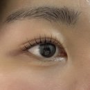 영등동-58 | 익산 | 영등동 속눈썹펌 잘하는 곳 후기, 메이율