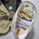 김포한강어린이집 | 경기도 아기랑 호캉스 라마다 김포 키즈룸 공주, 라마다 앙코르 바이윈덤 김포한강호텔 후기