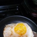 계란후라이 이미지