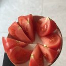 매봉농장 | 인스타에서 핫한 매봉농장 토마토 주문 후기 (3/29 주문)
