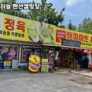 쪽빛하늘로 | 강원도 평창의 자연 속 힐링 공간, 쪽빛하늘 펜션캠핑장 솔직 후기 🌿