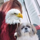 NR-5[경북대로]-하-661 | (2019.4.20.) 빗자루 머리 왜킬리의 인생 첫 굵은 펌