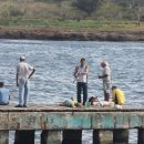 제주에 산다 이미지