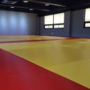 용인대 유도센터 이미지