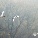 겨울손님
