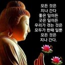 내 자신이 마음의 부처이고,지금 내가 있는곳이 천당이고 지옥이다. 이미지