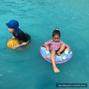 사천리물놀이장 이미지