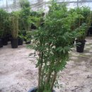 순만농장 이미지