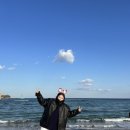 쭈니와비니 이미지