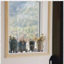 스테이 숨쉼 이미지