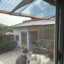 월오포레스트 이미지