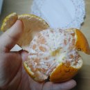 쌍둥이농장 네이버블로그