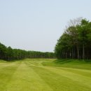 숲속골프 이미지