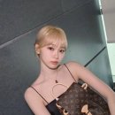 497 티스토리