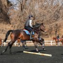 도인산업 이미지