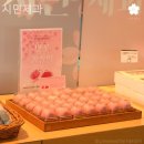 시민제과포항