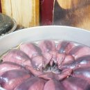 명성오징어순대 브런치