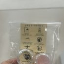 일루스튜디오