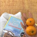 제주관광대학 부속유치원 이미지