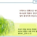 일일예화말씀묵상 2023년 7월 5일 (수) - 간병에 실파와 양배추 이미지