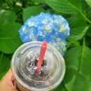 하르방 물레방아 | 경상남도 고성 수국이 예쁜 만화방초 후기