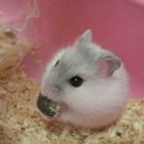 세명 동물병원 이미지