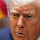 10월15일 이병철의 뉴스클리핑 이미지