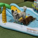 헬로우버디 이미지