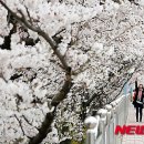 (주) 해미 이미지
