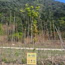 [충북 보은 캠핑장] 고릴라 캠핑인 속리산/ A-16 / 사이트 추천 / 편의시설 /조기 입실, 늦은 퇴실