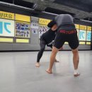 청라 합기도·격투기 이미지