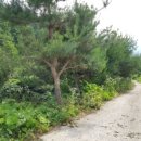 도송리 이미지