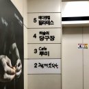 루미메디 이미지