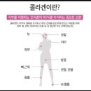 콜라겐..이란? 이미지