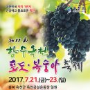 제11회 향수옥천 포도ㆍ복숭아 축제~7월 21일 오후 8시 "은새이션" 출연소식. 이미지