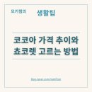 쵸코렛 | 두바이 쵸코렛이 비싼 이유와 쵸코렛 고르는 방법