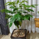 월포농장 이미지