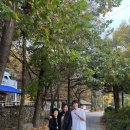 파리바게트덕소점 | [일상]아르페지오, 60계치킨, 팀홀튼, 런던베이글뮤지엄