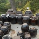 금샘농원 이미지