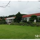 옹고집장집 이미지