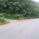 사월큰길(임동면) 이미지