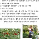 수림농장