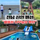 천사마을 원룸 | 전남 신안 펜션 추천 아이와 가기좋은 자은도 퍼플섬 나무늘보 펜션