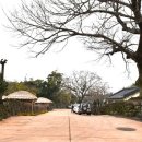 성읍민속마을오메기술 이미지