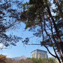 [공지] 20240316금정산(두실골,부채바위북벽,3망루.이끼바위)