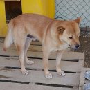 김문수농장 이미지