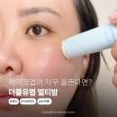 스킨아우라 | 메이크업이 자꾸 들뜬다면? 더블유랩 아우라 스킨 세럼 멀티밤 스틱 후기