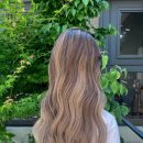 바이유니 이미지